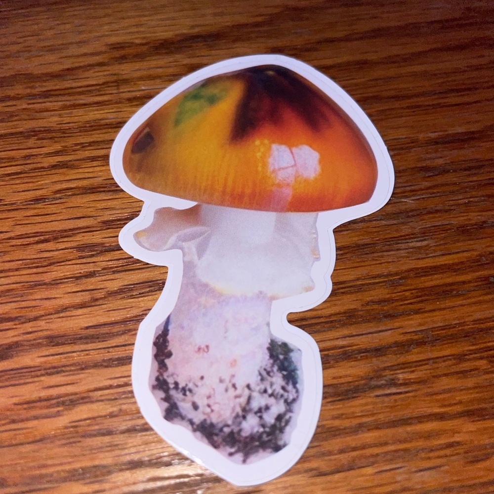 Colorful 13 Mushroom Sticker Set - Picture 14 of 14
